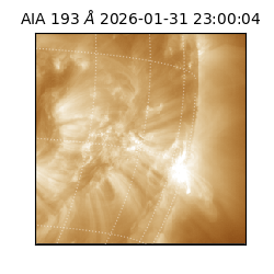 saia - 2026-01-31T23:00:04.843000