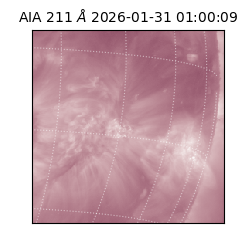 saia - 2026-01-31T01:00:09.629000