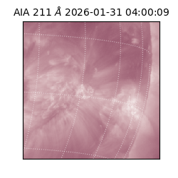 saia - 2026-01-31T04:00:09.626000