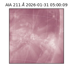 saia - 2026-01-31T05:00:09.630000