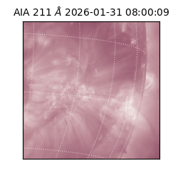 saia - 2026-01-31T08:00:09.626000