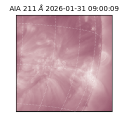 saia - 2026-01-31T09:00:09.626000