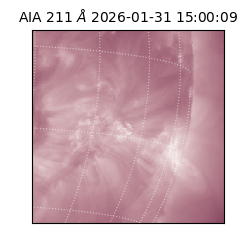 saia - 2026-01-31T15:00:09.626000