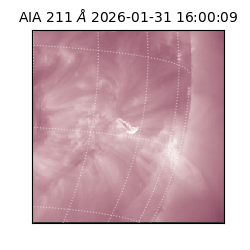 saia - 2026-01-31T16:00:09.626000