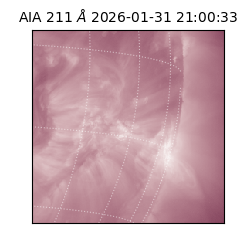 saia - 2026-01-31T21:00:33.629000