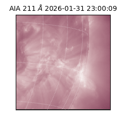 saia - 2026-01-31T23:00:09.630000