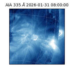 saia - 2026-01-31T08:00:00.625000