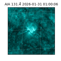 saia - 2026-01-31T01:00:06.622000