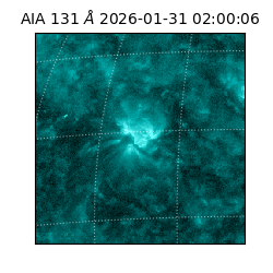 saia - 2026-01-31T02:00:06.622000