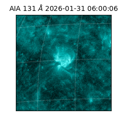 saia - 2026-01-31T06:00:06.622000