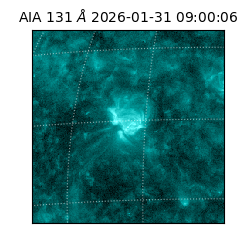 saia - 2026-01-31T09:00:06.625000