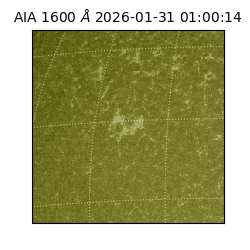 saia - 2026-01-31T01:00:14.125000