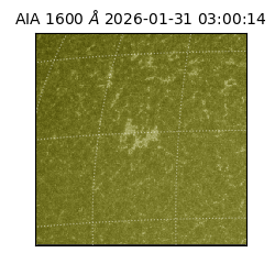 saia - 2026-01-31T03:00:14.126000