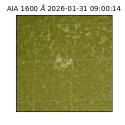 saia - 2026-01-31T09:00:14.125000