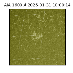 saia - 2026-01-31T10:00:14.126000