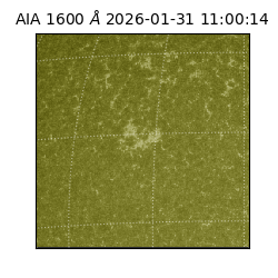 saia - 2026-01-31T11:00:14.126000