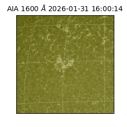 saia - 2026-01-31T16:00:14.125000