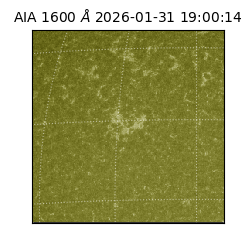 saia - 2026-01-31T19:00:14.126000