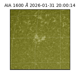 saia - 2026-01-31T20:00:14.129000