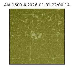 saia - 2026-01-31T22:00:14.125000