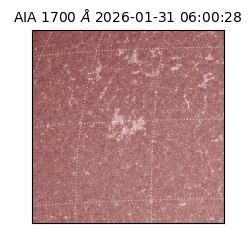 saia - 2026-01-31T06:00:28.717000