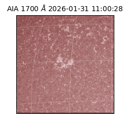 saia - 2026-01-31T11:00:28.737000