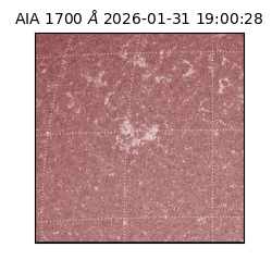 saia - 2026-01-31T19:00:28.710000