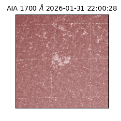 saia - 2026-01-31T22:00:28.733000