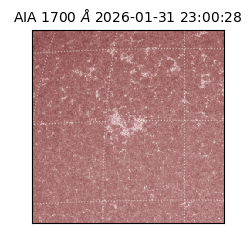 saia - 2026-01-31T23:00:28.717000