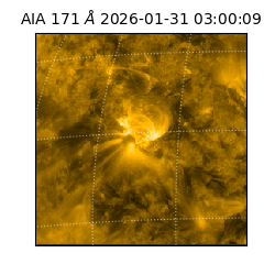 saia - 2026-01-31T03:00:09.350000