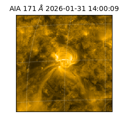 saia - 2026-01-31T14:00:09.350000