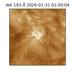 saia - 2026-01-31T01:00:04.846000