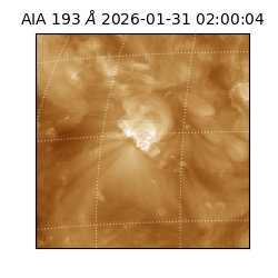 saia - 2026-01-31T02:00:04.846000