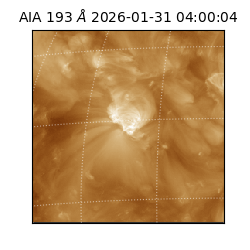 saia - 2026-01-31T04:00:04.843000