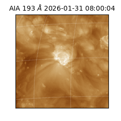 saia - 2026-01-31T08:00:04.843000