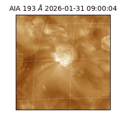 saia - 2026-01-31T09:00:04.843000