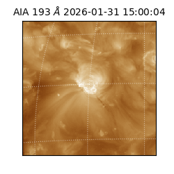 saia - 2026-01-31T15:00:04.843000