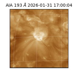 saia - 2026-01-31T17:00:04.843000