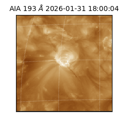 saia - 2026-01-31T18:00:04.843000