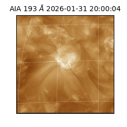 saia - 2026-01-31T20:00:04.843000