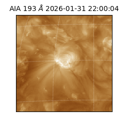 saia - 2026-01-31T22:00:04.843000