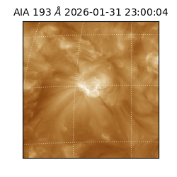 saia - 2026-01-31T23:00:04.843000