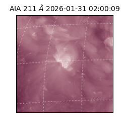 saia - 2026-01-31T02:00:09.626000