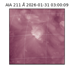 saia - 2026-01-31T03:00:09.630000