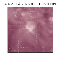 saia - 2026-01-31T05:00:09.630000