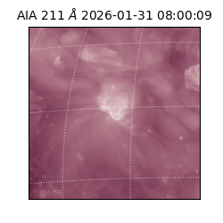 saia - 2026-01-31T08:00:09.626000