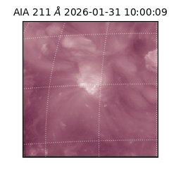 saia - 2026-01-31T10:00:09.622000