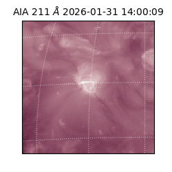 saia - 2026-01-31T14:00:09.626000