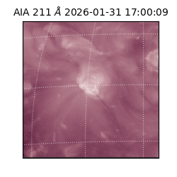 saia - 2026-01-31T17:00:09.622000