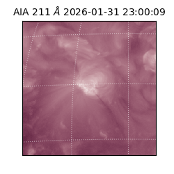 saia - 2026-01-31T23:00:09.630000